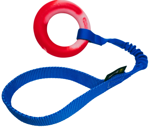 Ringo z amortyzatorem 2.png