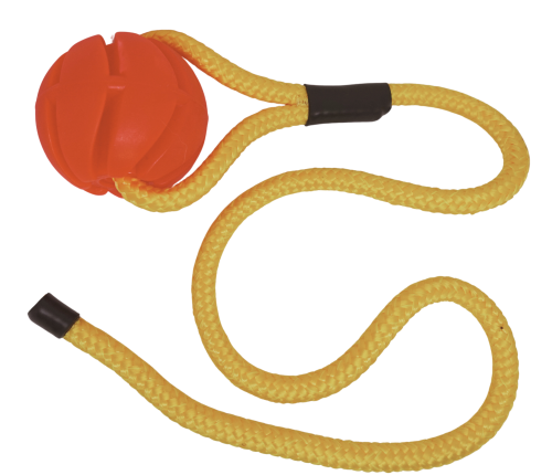 Piłka z długą linką 1.png