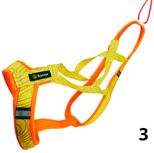 Sled 3.png